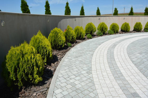 Best Permeable Paver Driveway  in Livonia, MI